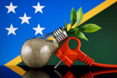 Tak, ampul ve Solomon Adaları bayrağı içinde büyüyen bitki. Yeşil eko yenilenebilir enerji kavramı.