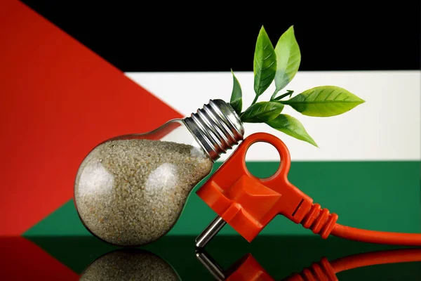 Podłącz Roślin Uprawy Wewnątrz Żarówki Flaga Palestyny Pojęcie Energii Odnawialnej — Zdjęcie stockowe
