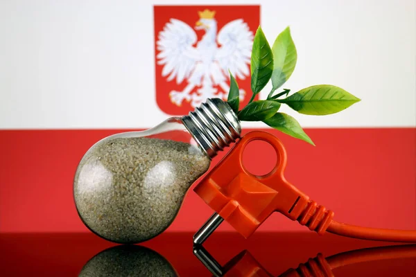 プラグ 電球とポーランド フラグの中育つ植物 緑のエコ再生可能エネルギー概念 — ストック写真