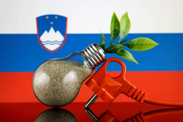 プラグ 電球とスロベニアの旗の中に育つ植物 緑のエコ再生可能エネルギー概念 — ストック写真