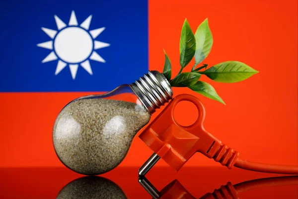 Stecker Pflanze Die Innerhalb Der Glühbirne Und Taiwan Flagge Wächst — Stockfoto