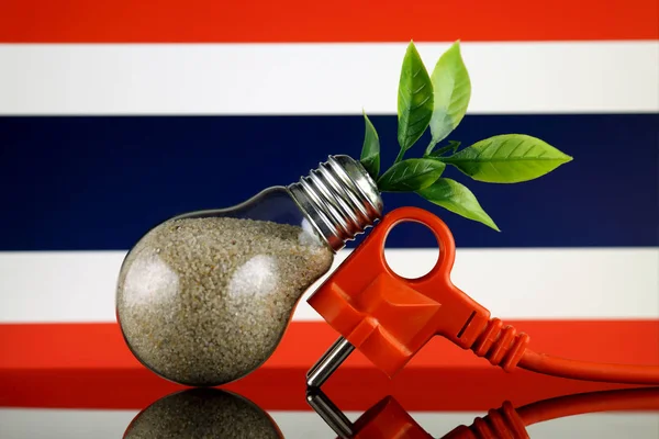 Plug Planta Que Crece Dentro Bombilla Bandera Tailandia Concepto Ecológico —  Fotos de Stock