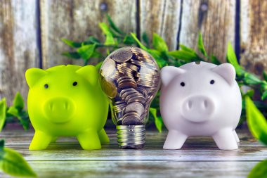 İki domuzcuk bankalar ve ampul içinde paralar. Yeşil eko enerji kavramı. Elektrik fiyatları, enerji tasarrufu.