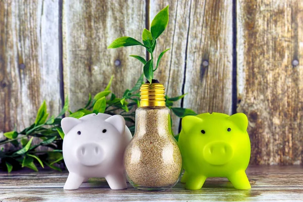 Two piggy banks and plant growing inside the light bulb. Green eco energy concept. Electricity prices, energy saving.