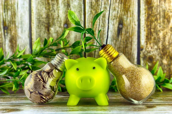 Coins inside the light bulb, plant growing inside the light bulb and piggy bank. Green eco renewable energy concept. Electricity prices, energy saving.