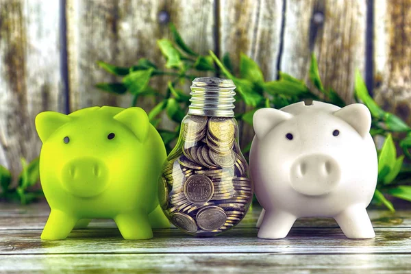 Two piggy banks and coins inside the light bulb. Green eco energy concept. Electricity prices, energy saving.