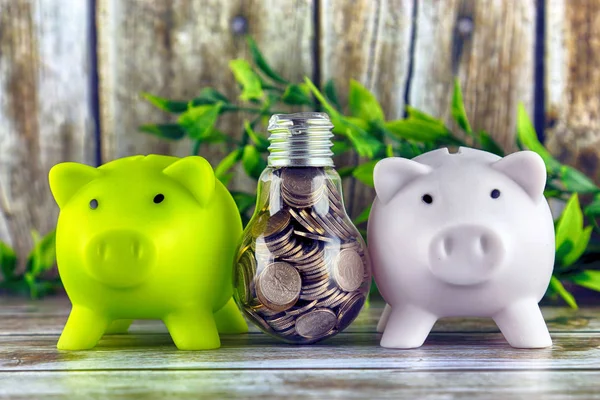 Two piggy banks and coins inside the light bulb. Green eco energy concept. Electricity prices, energy saving.