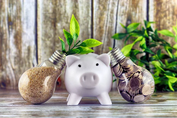 Coins inside the light bulb, plant growing inside the light bulb and piggy bank. Green eco renewable energy concept. Electricity prices, energy saving.