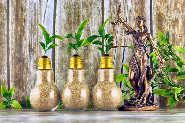 Symbol of law and justice and plants growing inside the light bulbs. Green eco renewable energy concept. Regulations, restrictions, prohibition.