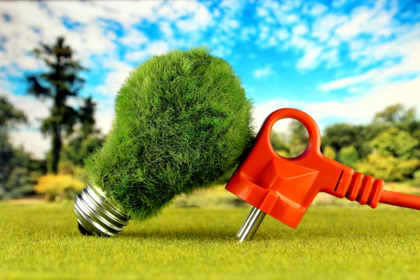 Plug Green Eco Lampje Met Gras Blauwe Hemelachtergrond Hernieuwbare Energieconcept — Stockfoto