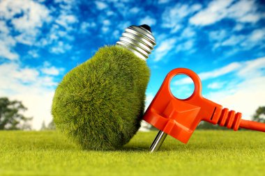 Tak ve yeşil çevre ışık ampul çim ve mavi gökyüzü arka plan ile. Yenilenebilir enerji kavramı. Elektrik fiyatları, enerji tasarrufu evde.