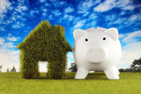 Piggy bank and green eco house icon concept with grass and blue sky background. Renewable energy. Electricity prices, energy saving in the household.