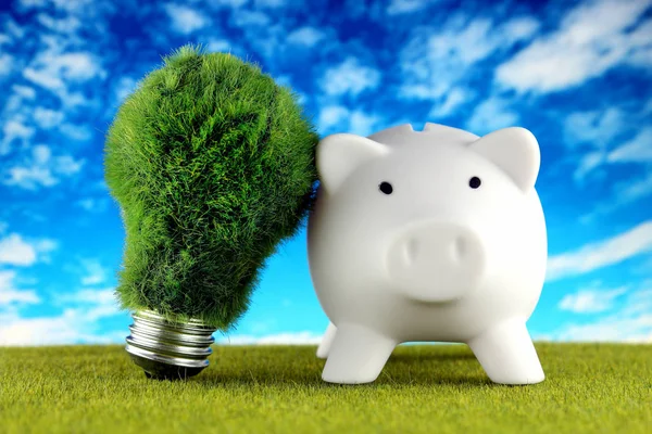Piggy bank and green eco light bulb with grass and blue sky background. Renewable energy. Electricity prices, energy saving in the household.