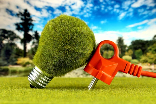 Plug and green eco light bulb with grass and blue sky background. Renewable energy concept. Electricity prices, energy saving in the household.