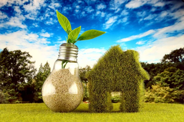 Plant growing inside the light bulb and green house icon with field and blue sky background. Eco renewable energy concept. Electricity prices, energy saving in the household.