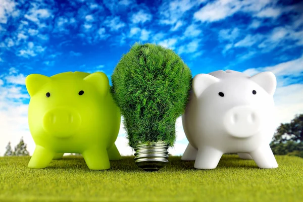 Piggy banks and green eco light bulb with grass and blue sky background. Renewable energy. Electricity prices, energy saving in the household.