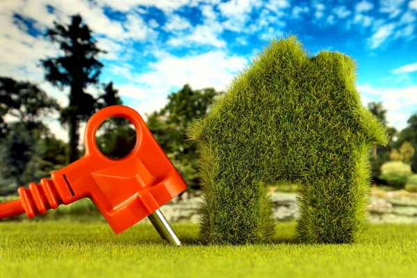 Plug Green Eco House Icon Concept Grass Blue Sky Background — Fotografia de Stock