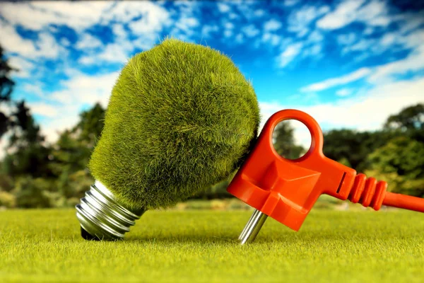 Plug Green Eco Lampje Met Gras Blauwe Hemelachtergrond Hernieuwbare Energieconcept — Stockfoto