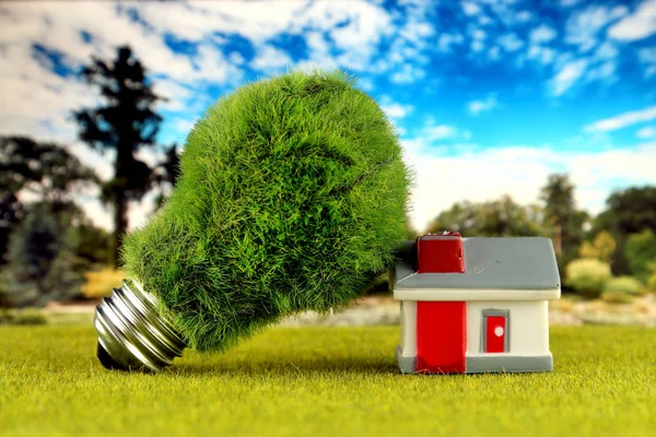 Green eco light bulb and miniature house. Renewable energy concept. Electricity prices, energy saving in the household.