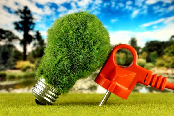Plug Verde Eco Lâmpada Com Grama Fundo Céu Azul Conceito — Fotografia de Stock
