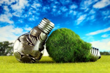 Ampul ve yeşil çevre çimen ile ampul içinde paralar. Yenilenebilir enerji kavramı. Elektrik fiyatları, enerji tasarrufu evde.