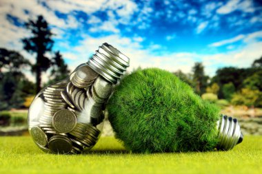 Ampul ve yeşil çevre çimen ile ampul içinde paralar. Yenilenebilir enerji kavramı. Elektrik fiyatları, enerji tasarrufu evde.