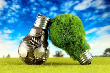 Ampul ve yeşil çevre çimen ile ampul içinde paralar. Yenilenebilir enerji kavramı. Elektrik fiyatları, enerji tasarrufu evde.