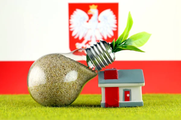 Plant Growing Light Bulb Miniature House Grass Poland Flag Renewable — ストック写真