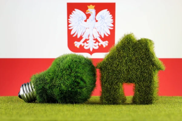 緑のエコ電球 エコ家のアイコンおよびポーランド フラグ 再生可能エネルギー 電気料金 家庭の省エネルギー — ストック写真