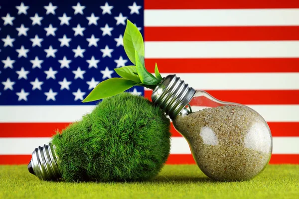 Green eco light bulb with grass, plant growing inside the light bulb, and United States Flag. Renewable energy. Electricity prices, energy saving in the household.