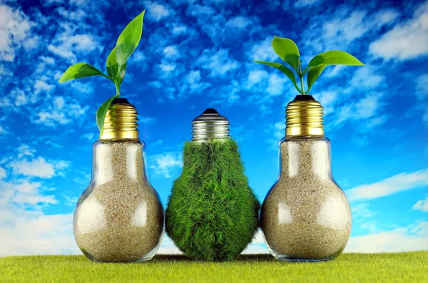 Green eco light bulb on the grass, plants growing inside the light bulbs and blue sky background. Renewable energy concept.