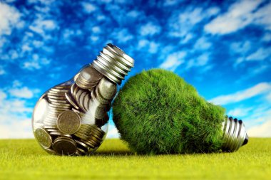 Ampul ve yeşil çevre çimen ile ampul içinde paralar. Yenilenebilir enerji kavramı. Elektrik fiyatları, enerji tasarrufu evde.