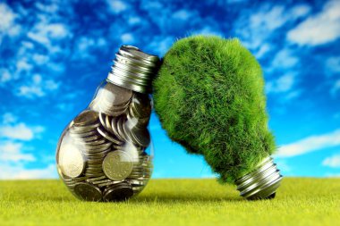 Ampul ve yeşil çevre çimen ile ampul içinde paralar. Yenilenebilir enerji kavramı. Elektrik fiyatları, enerji tasarrufu evde.