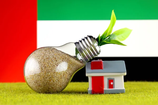 Plant growing inside the light bulb, miniature house on the grass and United Arab Emirates Flag. Renewable energy. Electricity prices, energy saving in the household.