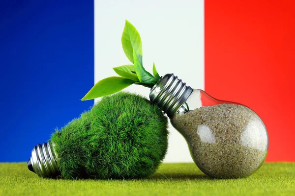 Green eco light bulb with grass, plant growing inside the light bulb, and France Flag. Renewable energy. Electricity prices, energy saving in the household.