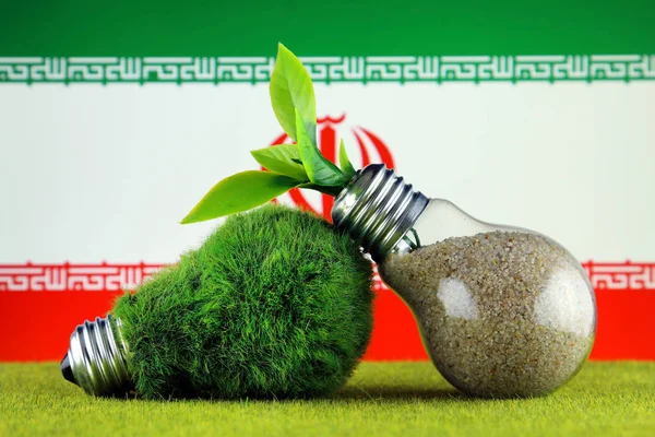Green eco light bulb with grass, plant growing inside the light bulb, and Iran Flag. Renewable energy. Electricity prices, energy saving in the household.