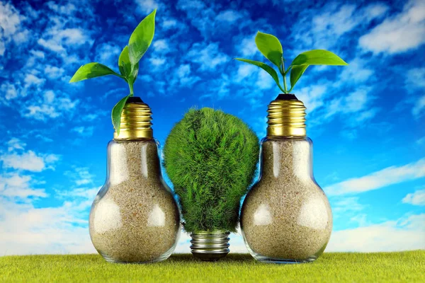 Green eco light bulb on the grass, plants growing inside the light bulbs and blue sky background. Renewable energy concept.