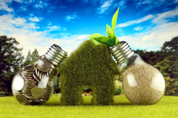 Coins inside the light bulb, plant growing inside the light bulb and miniature house with grass. Green eco renewable energy concept. Electricity prices, energy saving in the household.