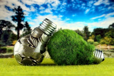 Ampul ve yeşil çevre çimen ile ampul içinde paralar. Yenilenebilir enerji kavramı. Elektrik fiyatları, enerji tasarrufu evde.