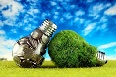 Ampul ve yeşil çevre çimen ile ampul içinde paralar. Yenilenebilir enerji kavramı. Elektrik fiyatları, enerji tasarrufu evde.