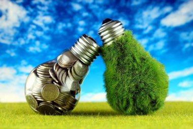 Ampul ve yeşil çevre çimen ile ampul içinde paralar. Yenilenebilir enerji kavramı. Elektrik fiyatları, enerji tasarrufu evde.