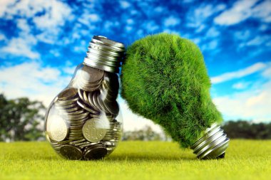 Ampul ve yeşil çevre çimen ile ampul içinde paralar. Yenilenebilir enerji kavramı. Elektrik fiyatları, enerji tasarrufu evde.