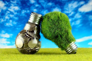 Ampul ve yeşil çevre çimen ile ampul içinde paralar. Yenilenebilir enerji kavramı. Elektrik fiyatları, enerji tasarrufu evde.