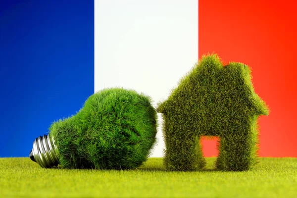 Green eco light bulb, eco house icon and France Flag. Renewable energy. Electricity prices, energy saving in the household.