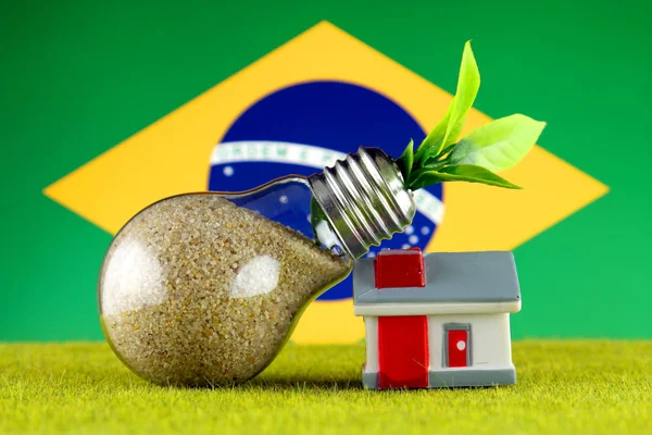 Planta Crescendo Dentro Lâmpada Casa Miniatura Grama Bandeira Brasil Energia — Fotografia de Stock