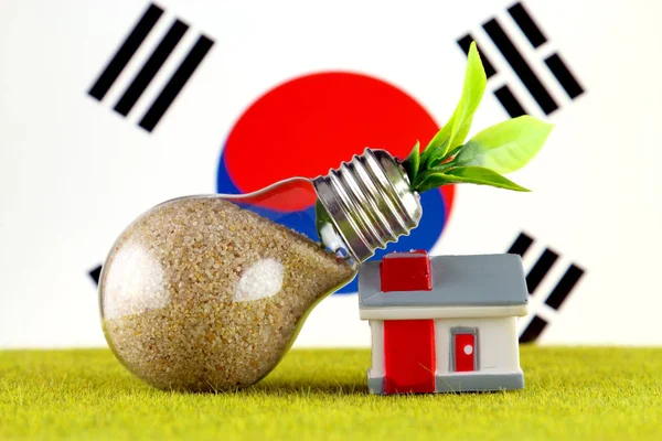 Plant growing inside the light bulb, miniature house on the grass and South Korea Flag. Renewable energy. Electricity prices, energy saving in the household.