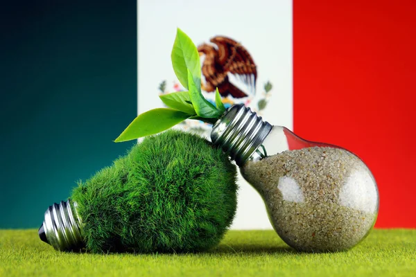 Green eco light bulb with grass, plant growing inside the light bulb, and Mexico Flag. Renewable energy. Electricity prices, energy saving in the household.