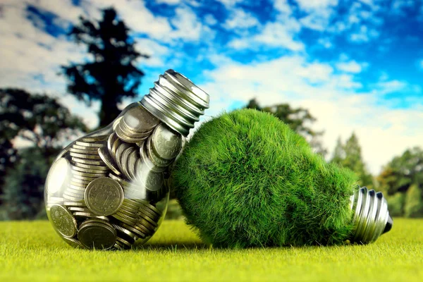 Coins Light Bulb Green Eco Light Bulb Grass Renewable Energy — Stock Photo, Image