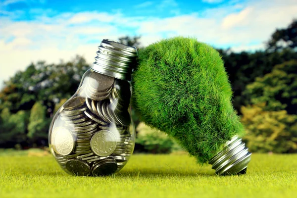 Coins inside the light bulb and green eco light bulb with grass. Renewable energy concept. Electricity prices, energy saving in the household.