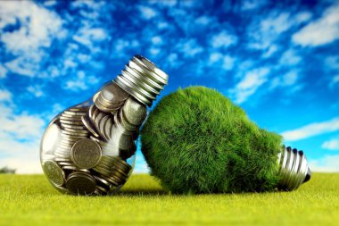 Ampul ve yeşil çevre çimen ile ampul içinde paralar. Yenilenebilir enerji kavramı. Elektrik fiyatları, enerji tasarrufu evde.